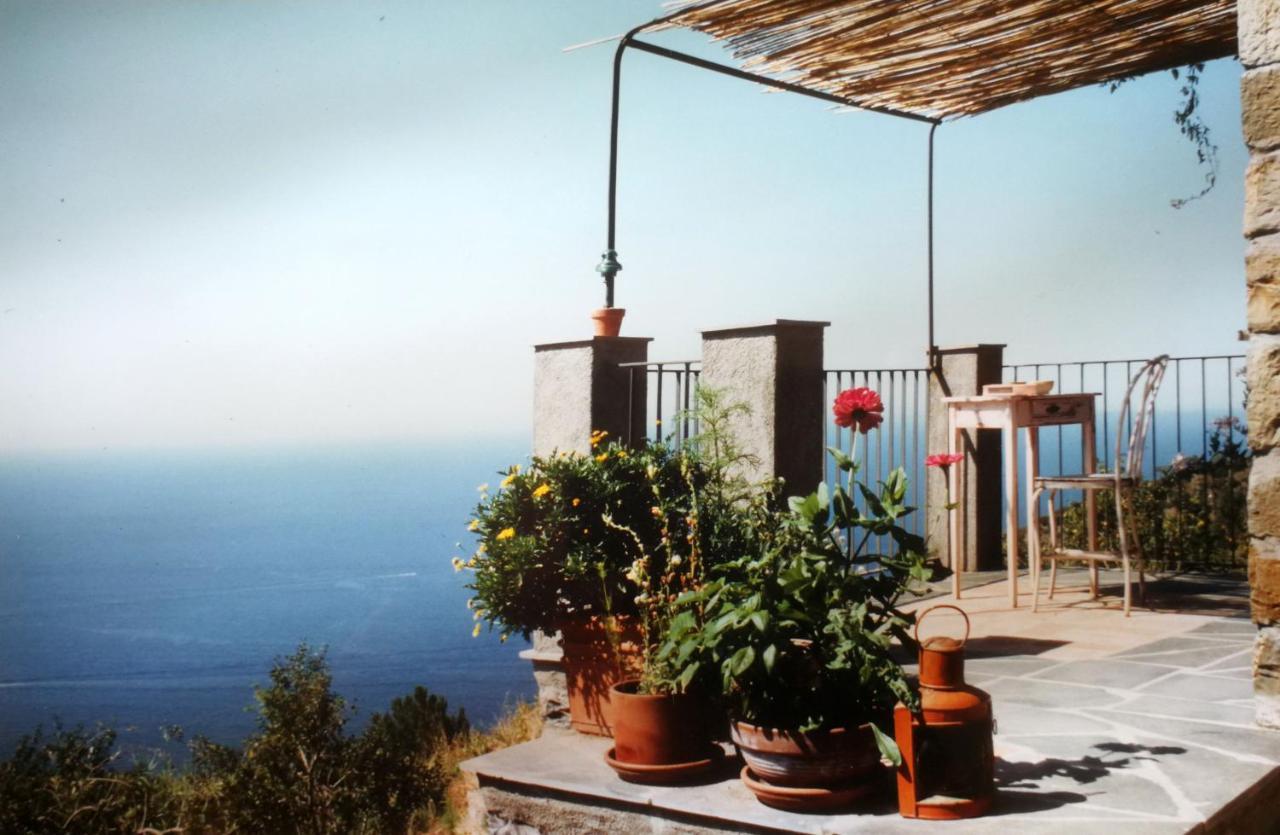 Cottage La Casa Del Pittore Reggimonti Exterior photo