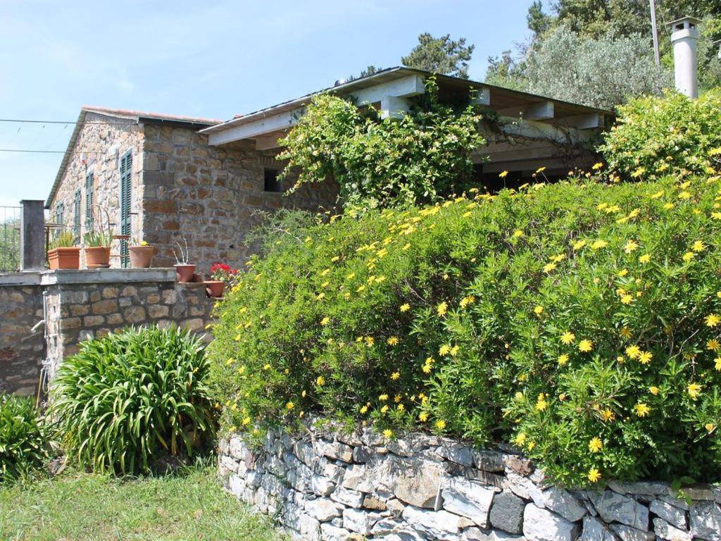 Cottage La Casa Del Pittore Reggimonti Exterior photo